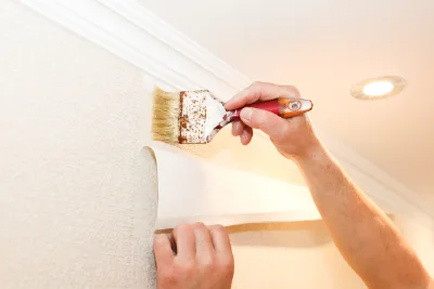 Pose de papier peint à Peyreleau — revêtements muraux et toiles de verre